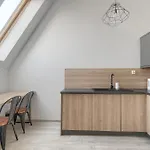 Platinum Apartment Stettin